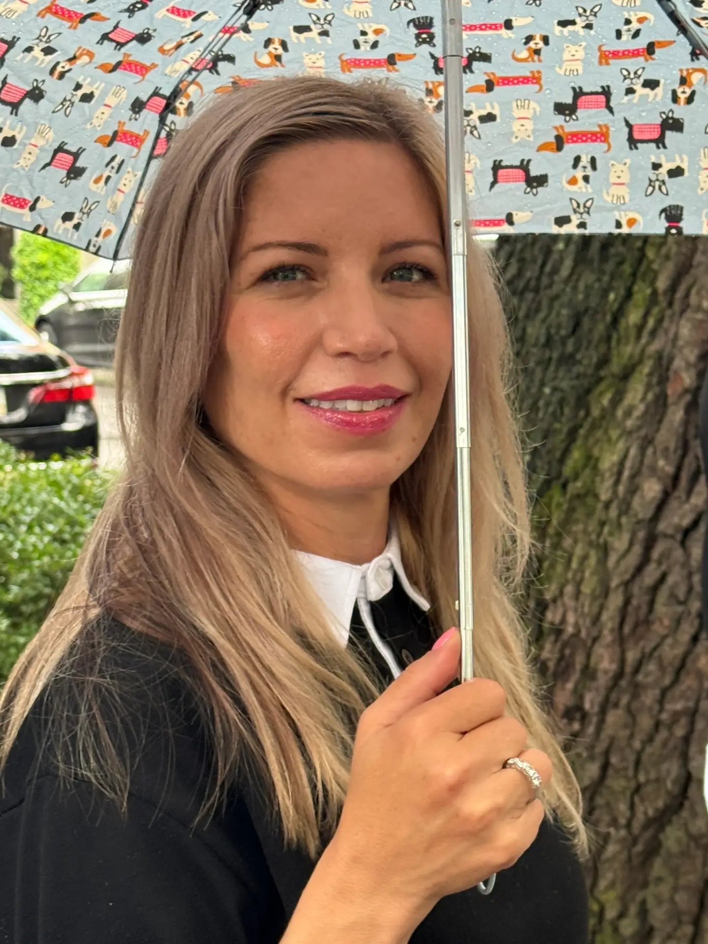 carriage heating and cooling