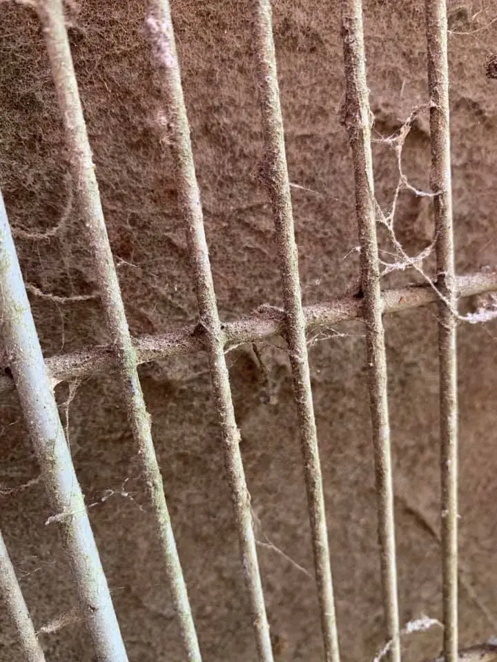 savannah hvac maintenance