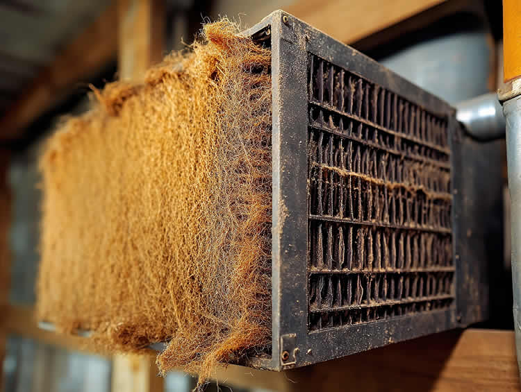 adobestock 1337179666 750